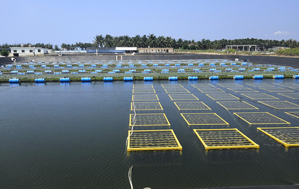 海南省定大海水养殖尾水处理项目