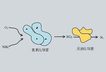 短程硝化反硝化技术